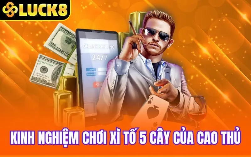 Kinh nghiệm chơi Xì Tố 5 Cây của cao thủ